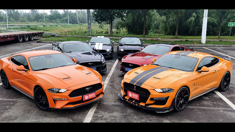 北京福特野马婚庆车队价目表