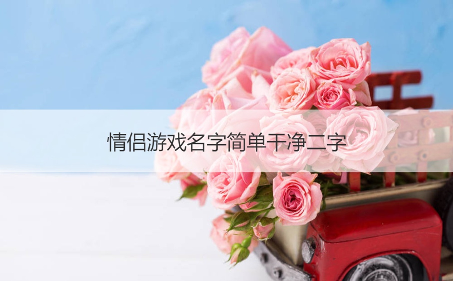 情侣游戏名字简单干净二字