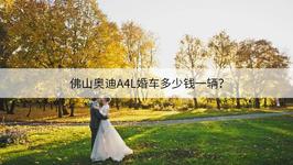 佛山奥迪A4L婚车多少钱一辆？